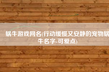 蜗牛游戏网名(行动缓慢又安静的宠物蜗牛名字-可爱点)