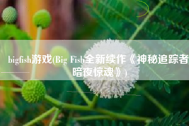 bigfish游戏(Big Fish全新续作《神秘追踪者:暗夜惊魂》)