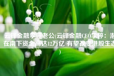 云锋金融李婷老公(云锋金融CEO李婷：潜在南下资金高达12万亿 有望改变港股生态)