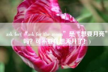 ask for(“ask for the moon”是“想要月亮”吗？可不要异想天开了！)