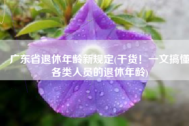 广东省退休年龄新规定(干货！一文搞懂各类人员的退休年龄)