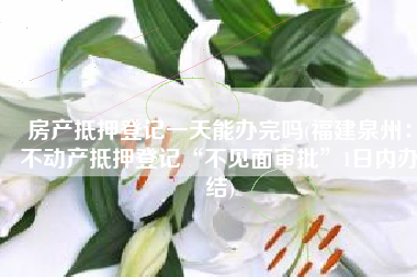 房产抵押登记一天能办完吗(福建泉州：不动产抵押登记“不见面审批”1日内办结)