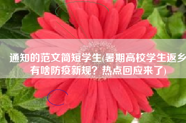 通知的范文简短学生(暑期高校学生返乡有啥防疫新规？热点回应来了)