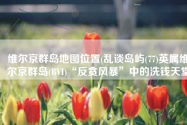 维尔京群岛地图位置(乱谈岛屿(77)英属维尔京群岛(BVI)“反贪风暴”中的洗钱天堂)