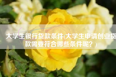 大学生银行贷款条件(大学生申请创业贷款需要符合哪些条件呢？)