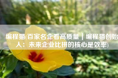 编程猫(百家名企看高质量｜编程猫创始人：未来企业比拼的核心是效率)