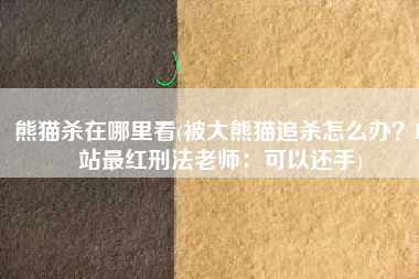 熊猫杀在哪里看(被大熊猫追杀怎么办？B站最红刑法老师：可以还手)