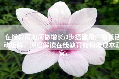 在线教育如何做增长(3步搭建用户增长活动矩阵，深度解读在线教育如何低成本获客)