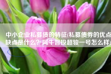 中小企业私募债的特征(私募债券的优点缺点是什么？阿牛智投超骏一号怎么样)