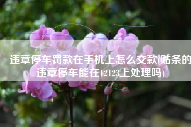 违章停车罚款在手机上怎么交款(贴条的违章停车能在12123上处理吗)