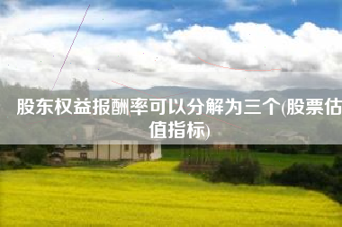 股东权益报酬率可以分解为三个(股票估值指标)