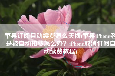 苹果订阅自动续费怎么关闭(苹果iPhone老是被自动扣费怎么办？iPhone取消订阅自动续费教程)