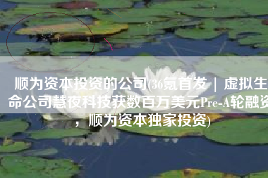 顺为资本投资的公司(36氪首发 | 虚拟生命公司慧夜科技获数百万美元Pre-A轮融资，顺为资本独家投资)