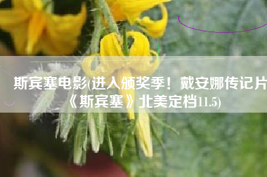 斯宾塞电影(进入颁奖季！戴安娜传记片《斯宾塞》北美定档11.5)