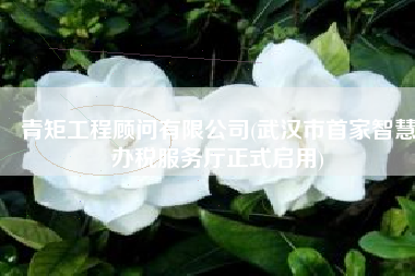 青矩工程顾问有限公司(武汉市首家智慧办税服务厅正式启用)