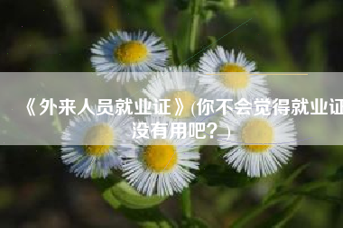 《外来人员就业证》(你不会觉得就业证没有用吧？)