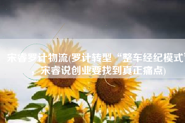 宋睿罗计物流(罗计转型“整车经纪模式”，宋睿说创业要找到真正痛点)