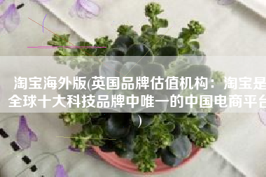淘宝海外版(英国品牌估值机构：淘宝是全球十大科技品牌中唯一的中国电商平台)