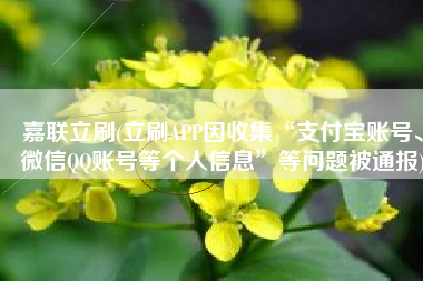 嘉联立刷(立刷APP因收集“支付宝账号、微信QQ账号等个人信息”等问题被通报)