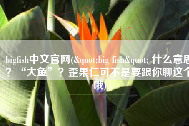 bigfish中文官网("big fish" 什么意思？“大鱼”？歪果仁可不是要跟你聊这个哦)