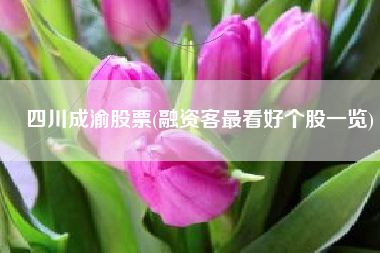 四川成渝股票(融资客最看好个股一览)