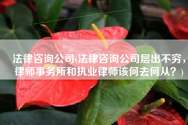 法律咨询公司(法律咨询公司层出不穷，律师事务所和执业律师该何去何从？)