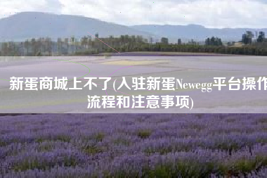 新蛋商城上不了(入驻新蛋Newegg平台操作流程和注意事项)
