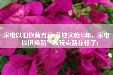 家电以旧换新方案(落地实施13年，家电“以旧换新”该玩点新花样了)