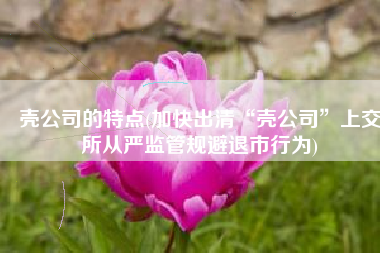 壳公司的特点(加快出清“壳公司”上交所从严监管规避退市行为)