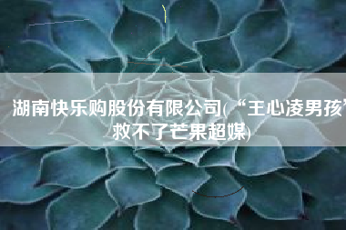 湖南快乐购股份有限公司(“王心凌男孩”救不了芒果超媒)