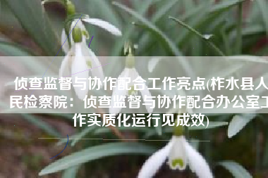 侦查监督与协作配合工作亮点(柞水县人民检察院：侦查监督与协作配合办公室工作实质化运行见成效)