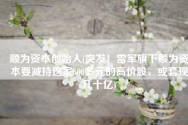 顺为资本创始人(突发！雷军旗下顺为资本要减持这家600多元的高价股，或套现几十亿)