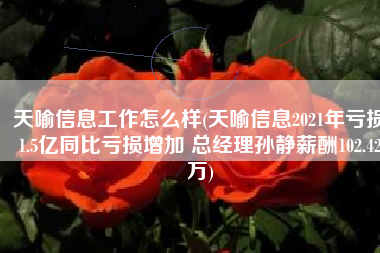 天喻信息工作怎么样(天喻信息2021年亏损1.5亿同比亏损增加 总经理孙静薪酬102.42万)