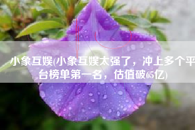 小象互娱(小象互娱太强了，冲上多个平台榜单第一名，估值破65亿)