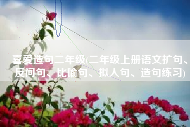 喜爱造句二年级(二年级上册语文扩句、反问句、比喻句、拟人句、造句练习)