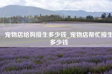 宠物店给狗接生多少钱_宠物店帮忙接生多少钱