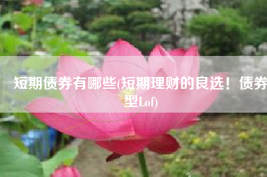 短期债券有哪些(短期理财的良选！债券型Lof)