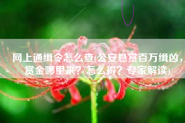 网上通缉令怎么查(公安悬赏百万缉凶，赏金哪里来？怎么得？专家解读)