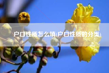 户口性质怎么填(户口性质的分类)