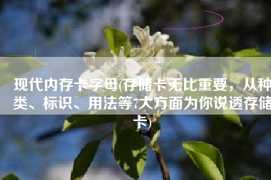 现代内存卡字母(存储卡无比重要，从种类、标识、用法等7大方面为你说透存储卡)
