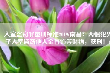 入室盗窃罪量刑标准2019(南昌：两惯犯男子入室盗窃他人金首饰等财物，获刑！)