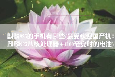 麒麟925的手机有哪些(最受欢迎国产机：麒麟925八核处理器+4100毫安时的电池)