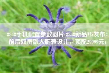 8848手机配置参数图片(8848新品M5发布：前后双屏融入腕表设计，顶配29999元)