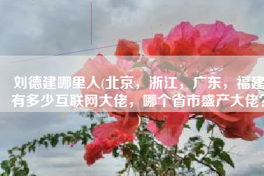 刘德建哪里人(北京，浙江，广东，福建有多少互联网大佬，哪个省市盛产大佬？)