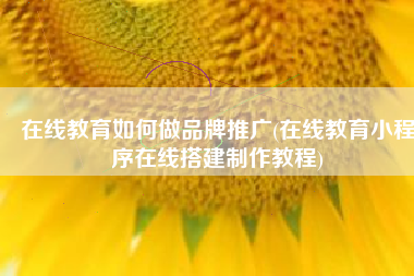 在线教育如何做品牌推广(在线教育小程序在线搭建制作教程)