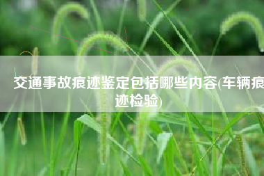 交通事故痕迹鉴定包括哪些内容(车辆痕迹检验)