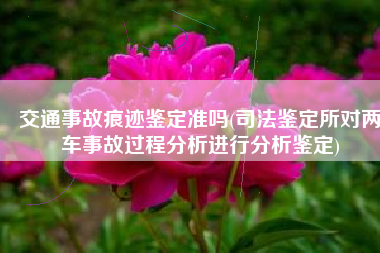 交通事故痕迹鉴定准吗(司法鉴定所对两车事故过程分析进行分析鉴定)