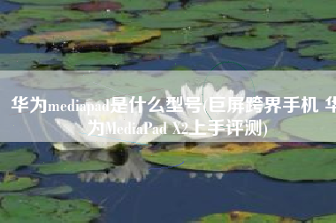 华为mediapad是什么型号(巨屏跨界手机 华为MediaPad X2上手评测)