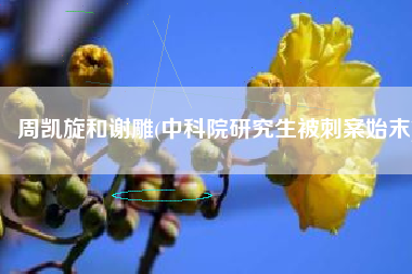 周凯旋和谢雕(中科院研究生被刺案始末)