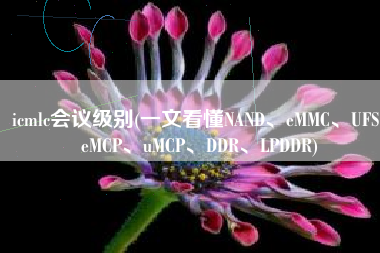 icmlc会议级别(一文看懂NAND、eMMC、UFS、eMCP、uMCP、DDR、LPDDR)